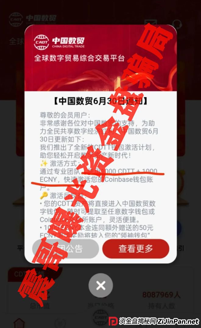 中国数贸资金盘大起底：震哥带你扒开“全球卡”骗局
