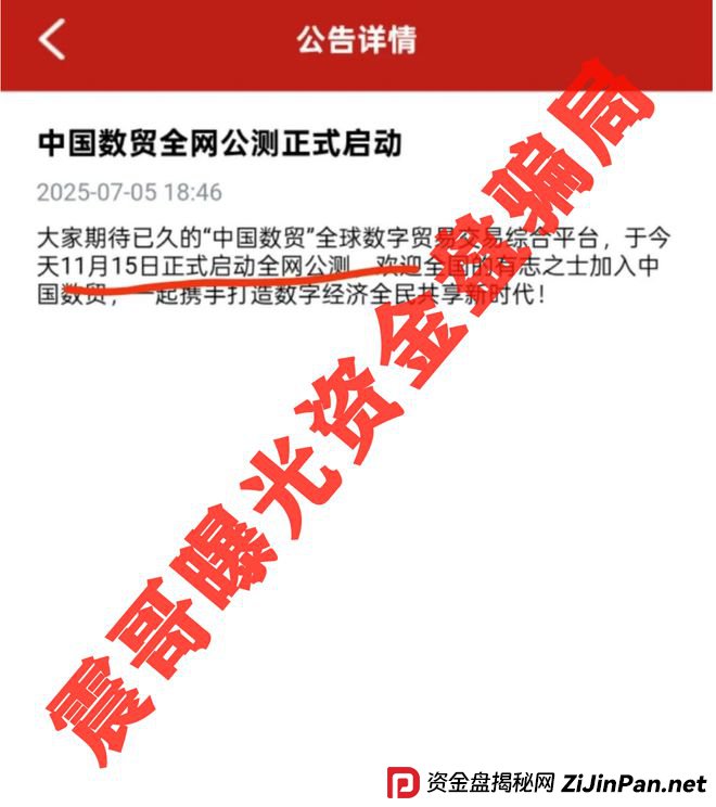 中国数贸资金盘大起底：震哥带你扒开“全球卡”骗局
