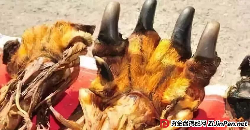 比“切糕”还狠的街头骗局，只要中招瞬间倾家荡产！