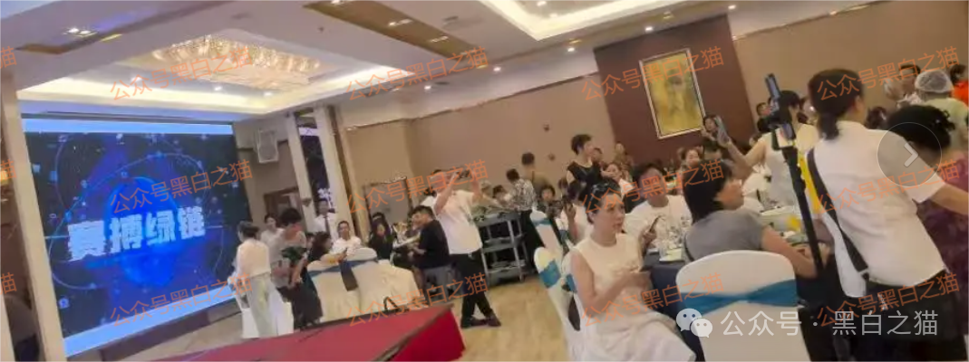 资金盘｜“赛搏资本&amp;恒富证券”钓鱼式打劫，盘总肉身在外不惧负面，国内工作室何去何从......