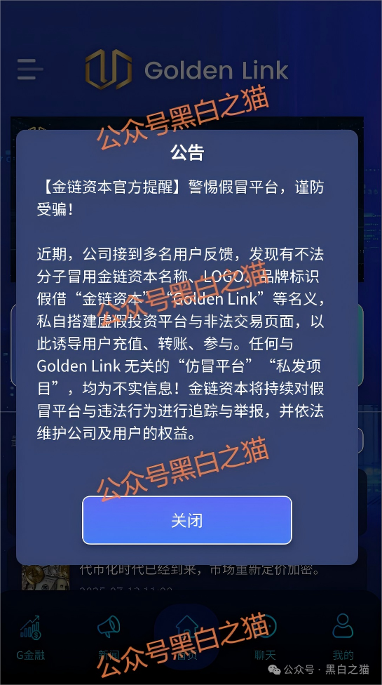 资金盘｜电诈团伙伪冒“金链资本”项目，非法敛财，揭秘国内洗钱通道......