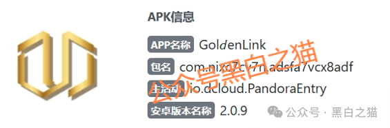 资金盘｜电诈团伙伪冒“金链资本”项目，非法敛财，揭秘国内洗钱通道......