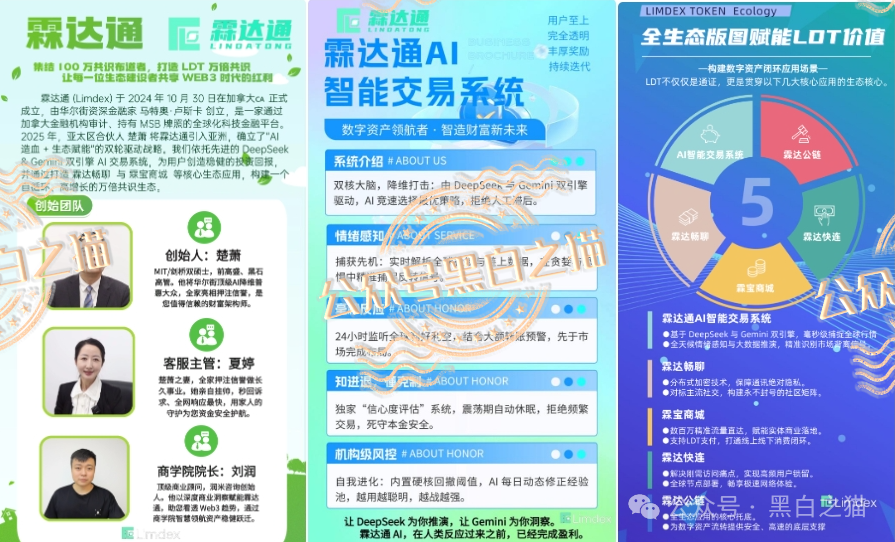 “霖达通”(limdex)骗局挖出大瓜,还原蛛丝马迹,给报案人一点希望......(6) “霖达通”(limdex)骗局挖出大瓜,还原蛛丝马迹,给报案人一点希望......(6)