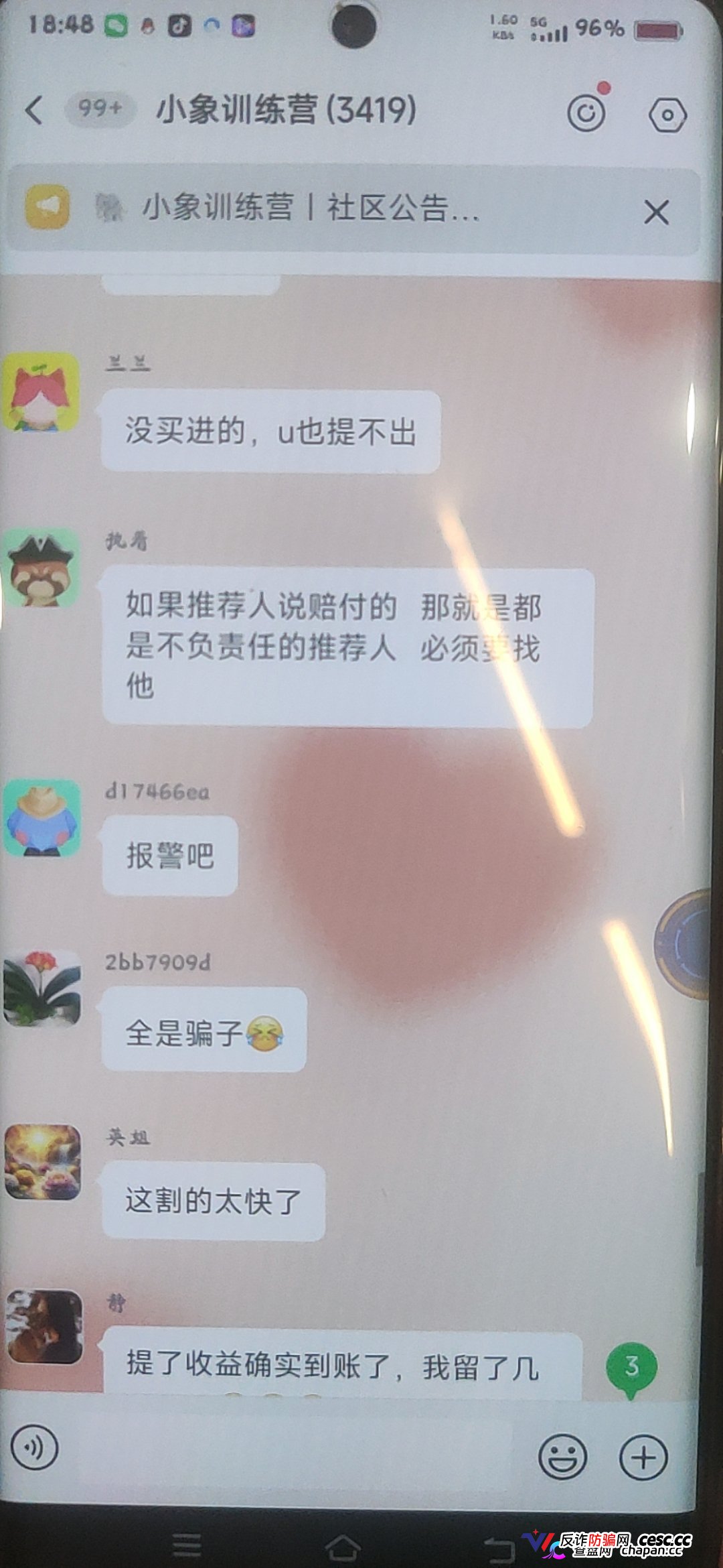 大象社区杀猪盘全面崩盘血洗实录:一夜爆仓4000万,群内全员禁言,狗托"兵哥"还在忽悠充值抄底,受害者已集体报警!(7) 大象社区杀猪盘全面崩盘血洗实录:一夜爆仓4000万,群内全员禁言,狗托"兵哥"还在忽悠充值抄底,受害者已集体报警!(7)