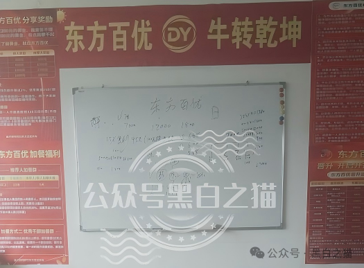 企查查查无此号|英诺2022年已退出中国,“东方百优”套牌资金盘起底(4) 企查查查无此号|英诺2022年已退出中国,“东方百优”套牌资金盘起底(4)