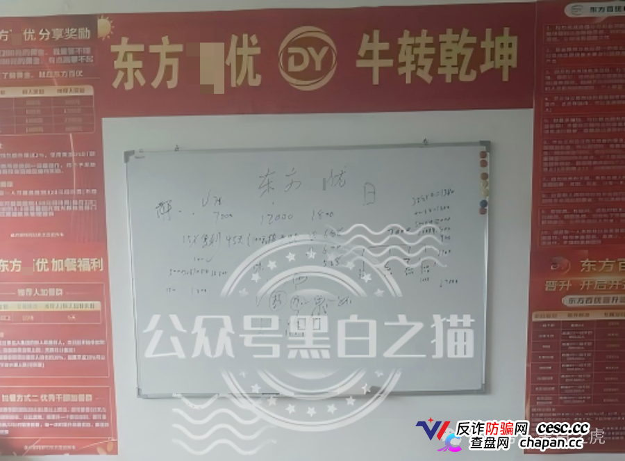 山东团队拉新变慢,项目方KPI定生死|“东方百优”单割倒计时进入最后10天(2) 山东团队拉新变慢,项目方KPI定生死|“东方百优”单割倒计时进入最后10天(2)