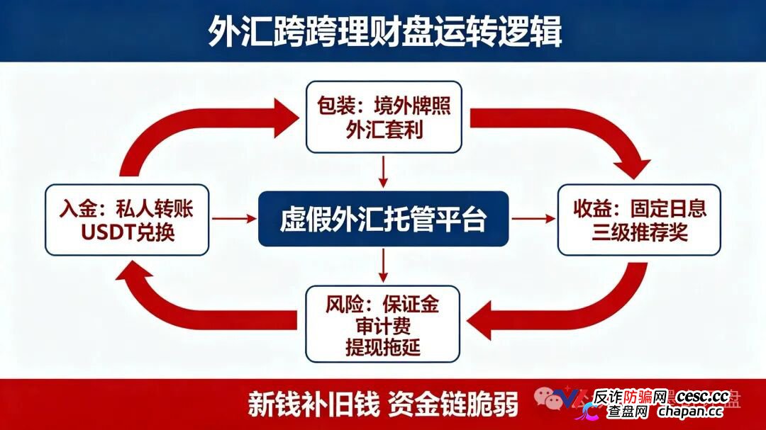 紧急预警!7月10个新开资金盘全曝光,千万别投!
